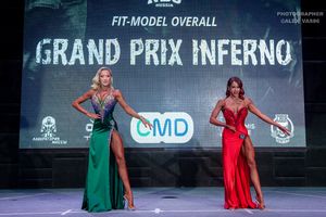 FIT-MODEL OVERALL